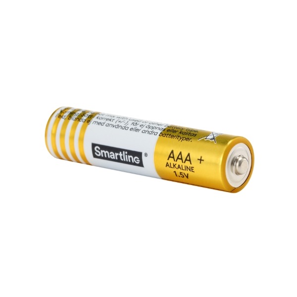 10-p-batteri-AAA-2-2
